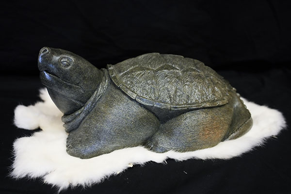 turtle